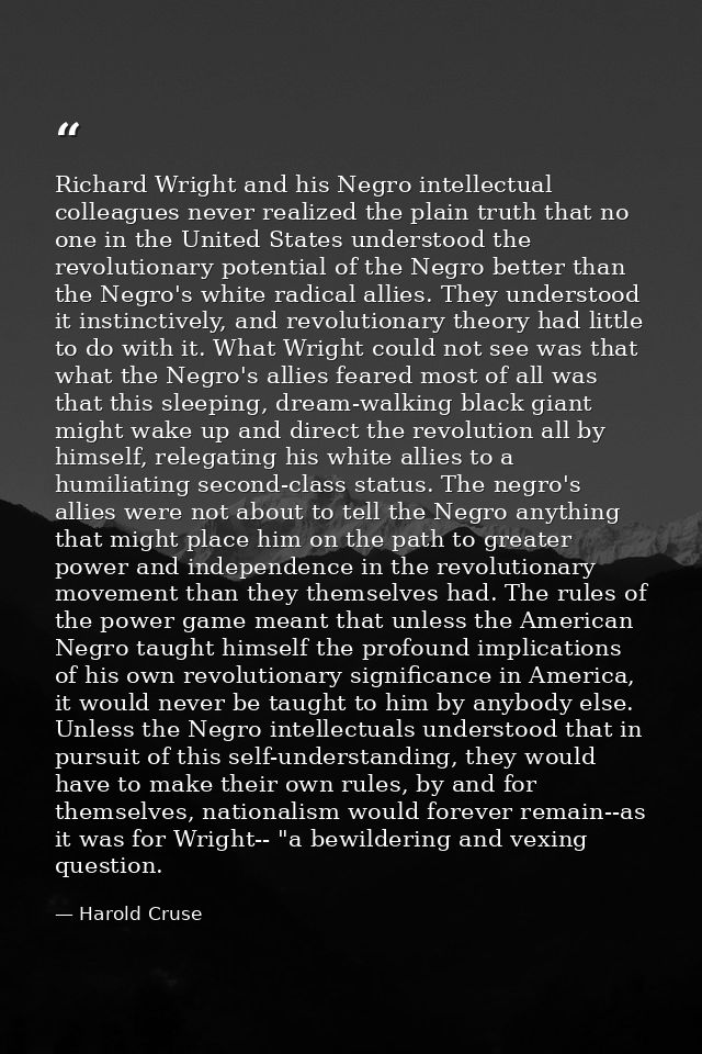 Richard Wright and his Negro intellectual colleagues never realized the plain truth that no one in the United States und — Harold Cruse