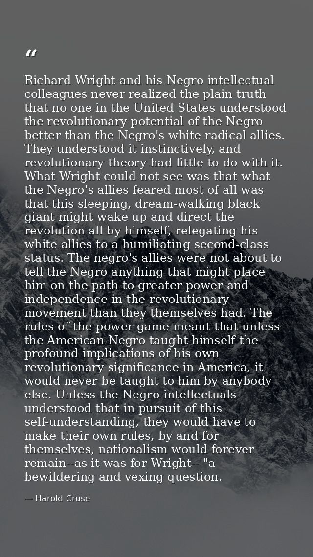 Richard Wright and his Negro intellectual colleagues never realized the plain truth that no one in the United States und — Harold Cruse