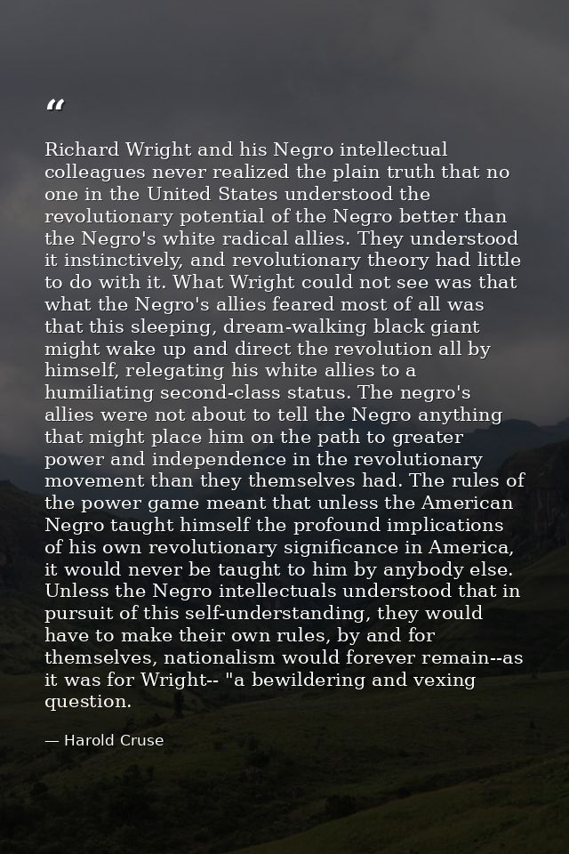 Richard Wright and his Negro intellectual colleagues never realized the plain truth that no one in the United States und — Harold Cruse
