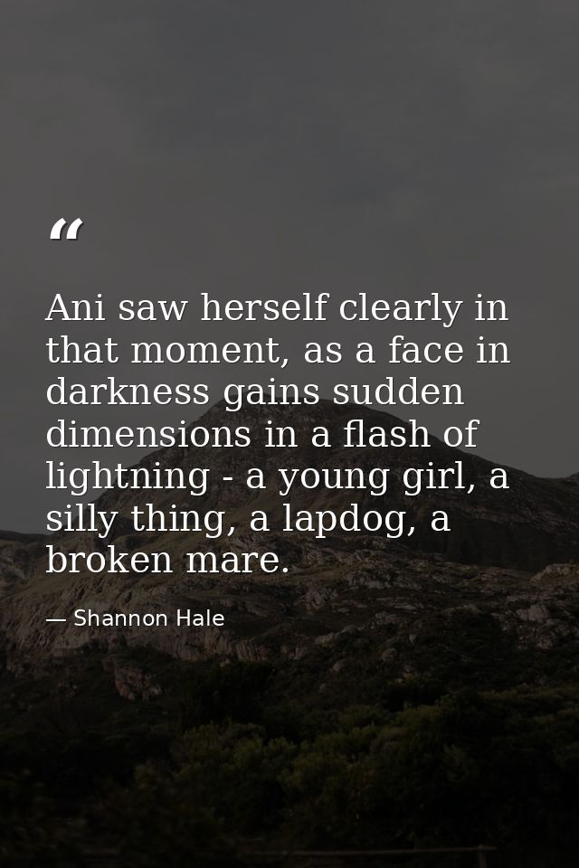 Ani saw herself clearly in that moment, as a face in darkness gains sudden dimensions in a flash of lightning - a young  — Shannon Hale