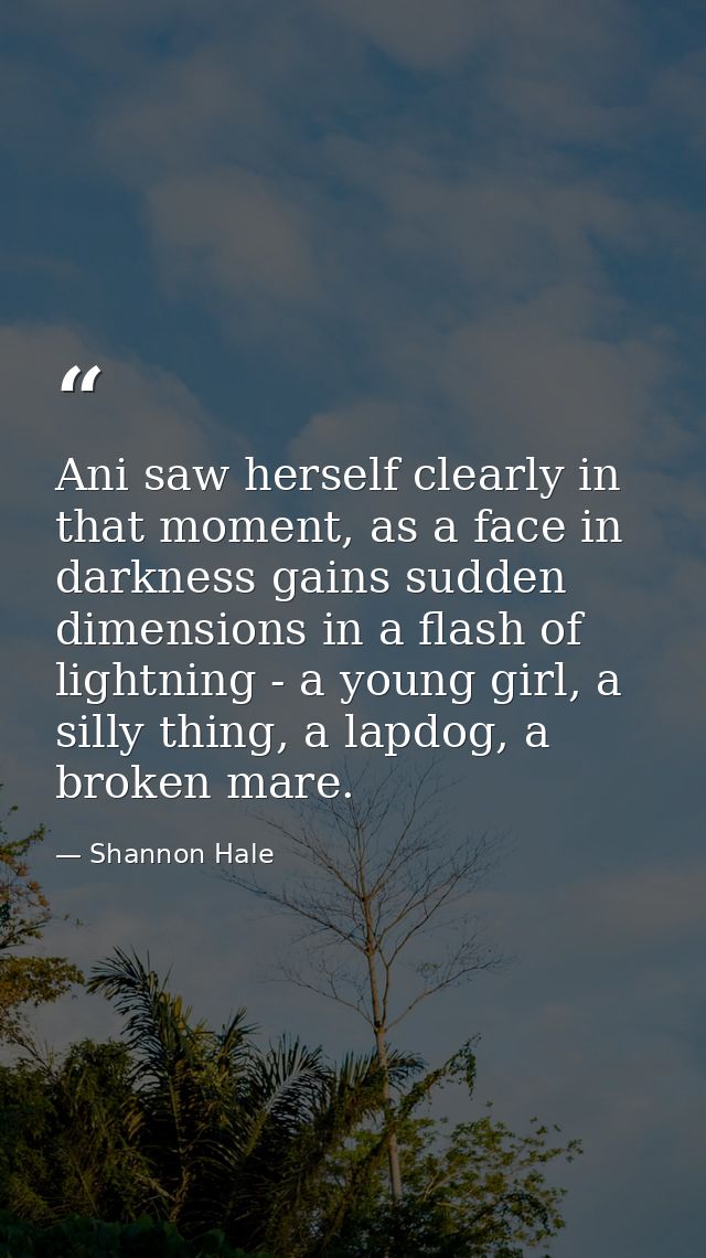 Ani saw herself clearly in that moment, as a face in darkness gains sudden dimensions in a flash of lightning - a young  — Shannon Hale