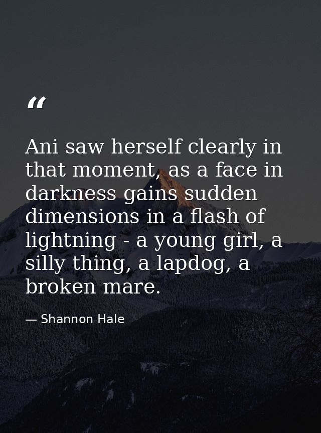 Ani saw herself clearly in that moment, as a face in darkness gains sudden dimensions in a flash of lightning - a young  — Shannon Hale