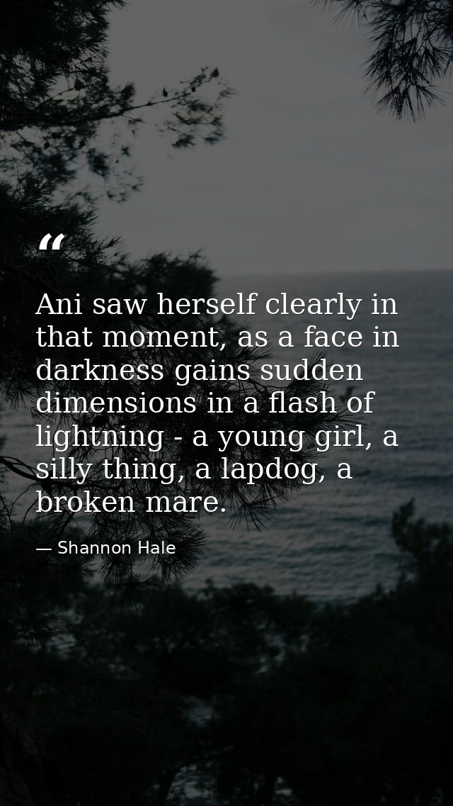 Ani saw herself clearly in that moment, as a face in darkness gains sudden dimensions in a flash of lightning - a young  — Shannon Hale