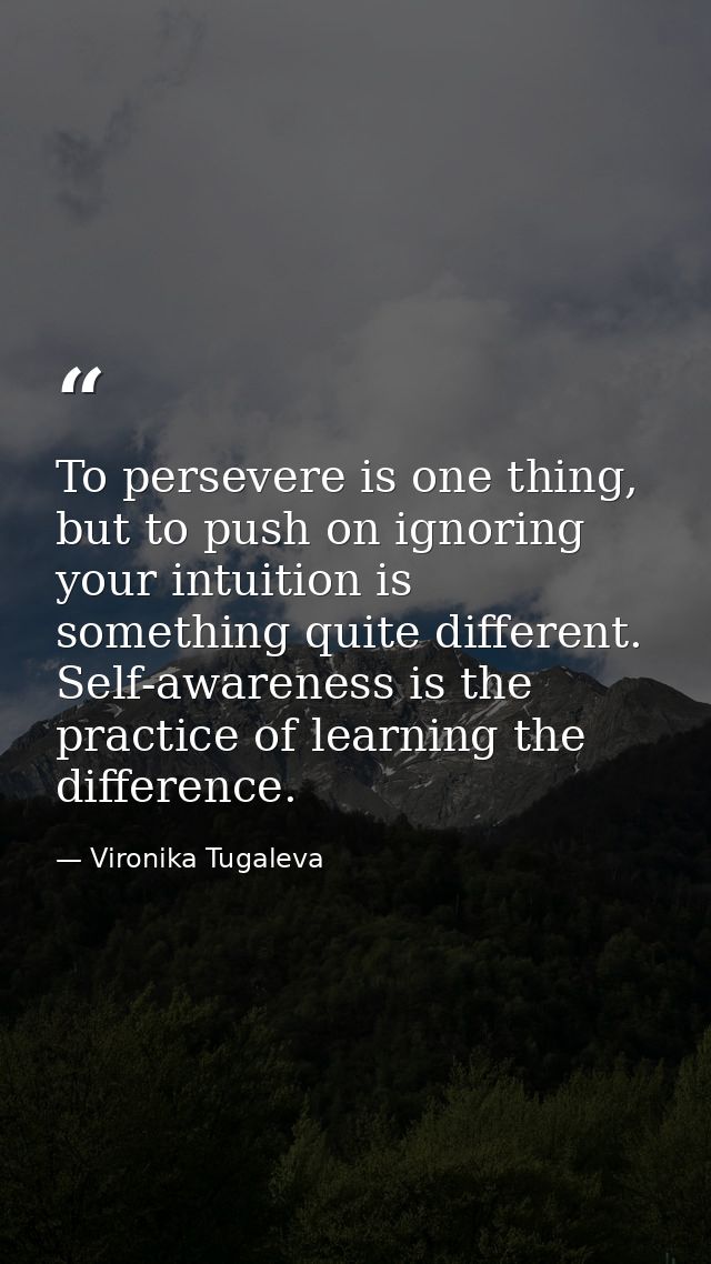 To persevere is one thing, but to push on ignoring your intuition is something quite different. Self-awareness is the pr — Vironika Tugaleva