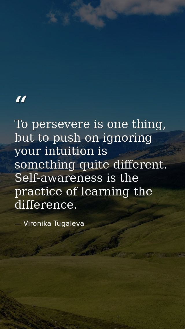 To persevere is one thing, but to push on ignoring your intuition is something quite different. Self-awareness is the pr — Vironika Tugaleva