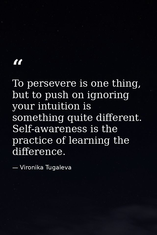 To persevere is one thing, but to push on ignoring your intuition is something quite different. Self-awareness is the pr — Vironika Tugaleva