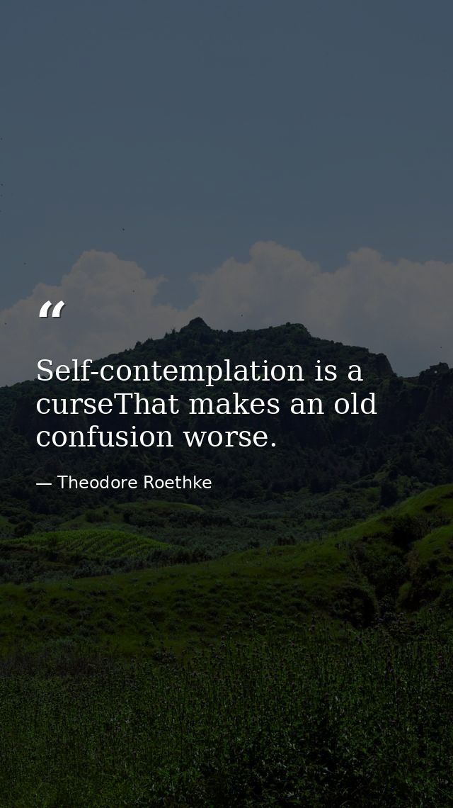 Self-contemplation is a curseThat makes an old confusion worse. — Theodore Roethke