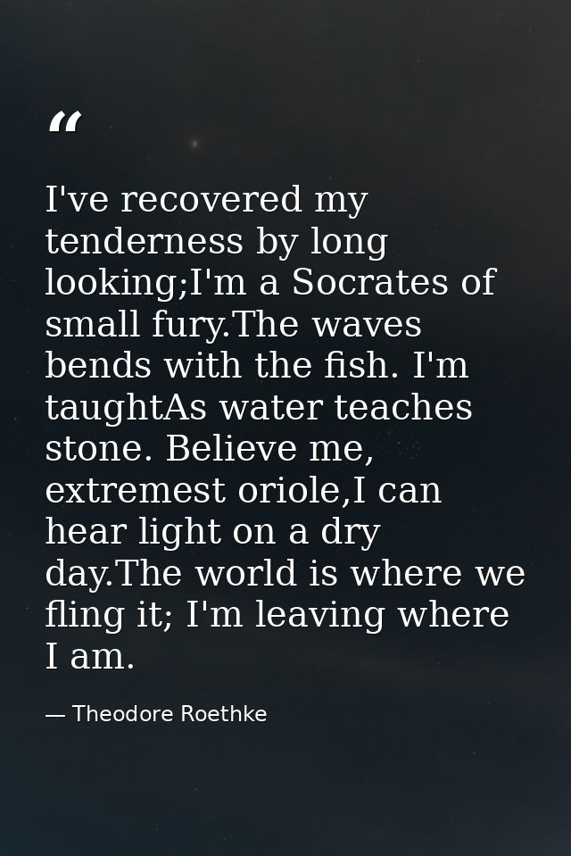 I've recovered my tenderness by long looking;I'm a Socrates of small fury.The waves bends with the fish. I'm taughtAs wa — Theodore Roethke