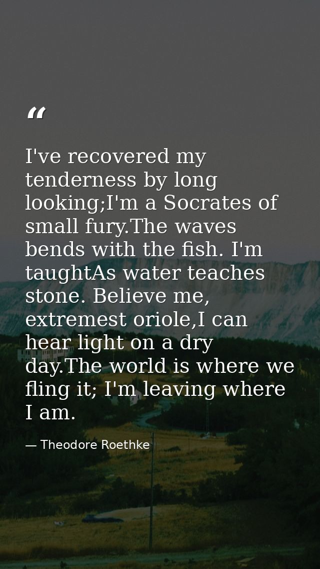 I've recovered my tenderness by long looking;I'm a Socrates of small fury.The waves bends with the fish. I'm taughtAs wa — Theodore Roethke