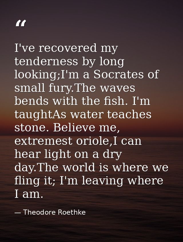 I've recovered my tenderness by long looking;I'm a Socrates of small fury.The waves bends with the fish. I'm taughtAs wa — Theodore Roethke