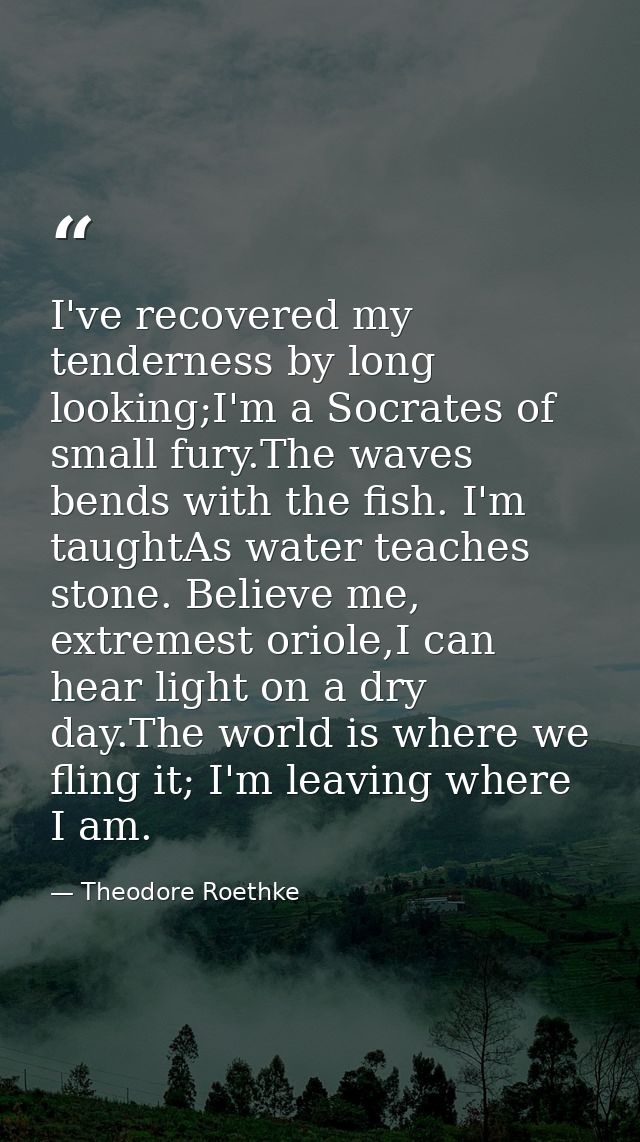 I've recovered my tenderness by long looking;I'm a Socrates of small fury.The waves bends with the fish. I'm taughtAs wa — Theodore Roethke