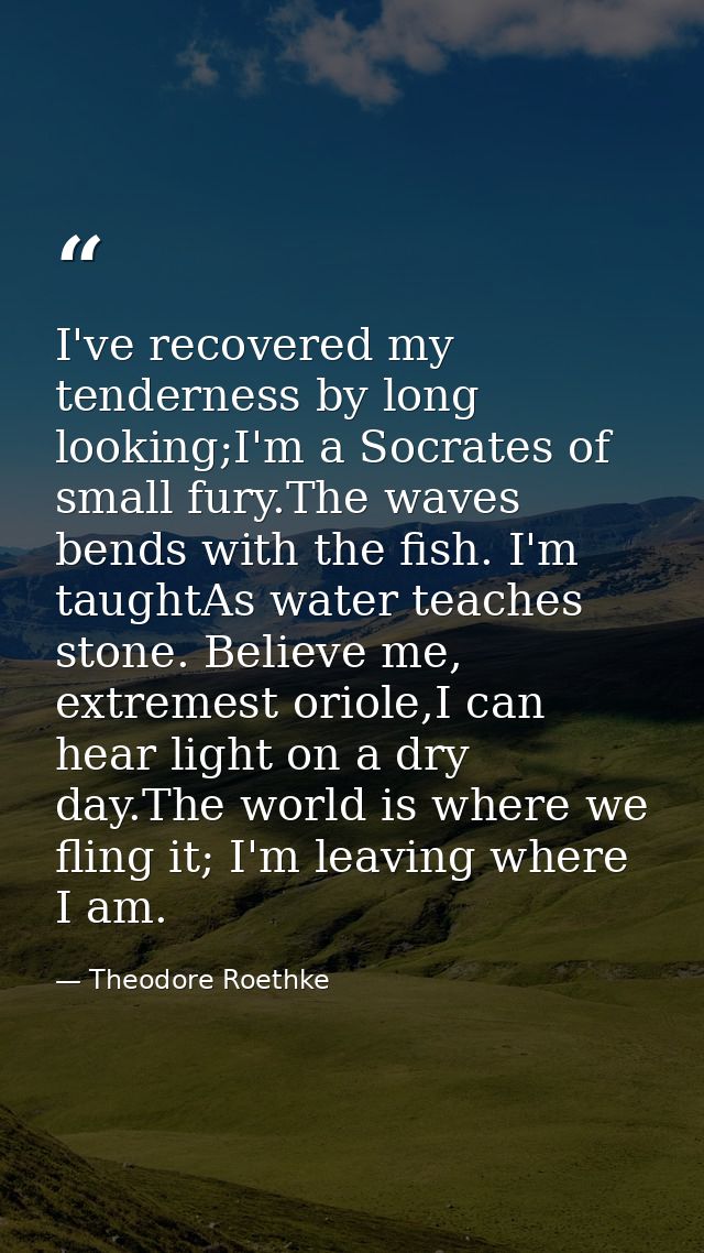 I've recovered my tenderness by long looking;I'm a Socrates of small fury.The waves bends with the fish. I'm taughtAs wa — Theodore Roethke