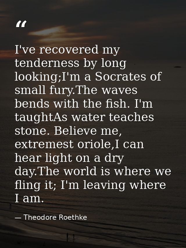 I've recovered my tenderness by long looking;I'm a Socrates of small fury.The waves bends with the fish. I'm taughtAs wa — Theodore Roethke