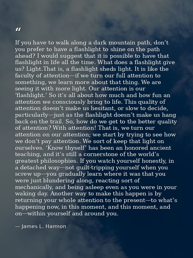 If you have to walk along a dark mountain path, don’t you prefer to have a flashlight to shine on the path ahead? I woul — James L. Harmon