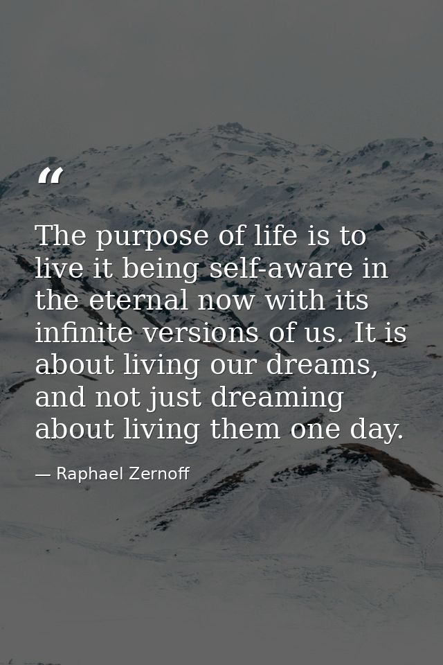 The purpose of life is to live it being self-aware in the eternal now with its infinite versions of us. It is about livi — Raphael Zernoff