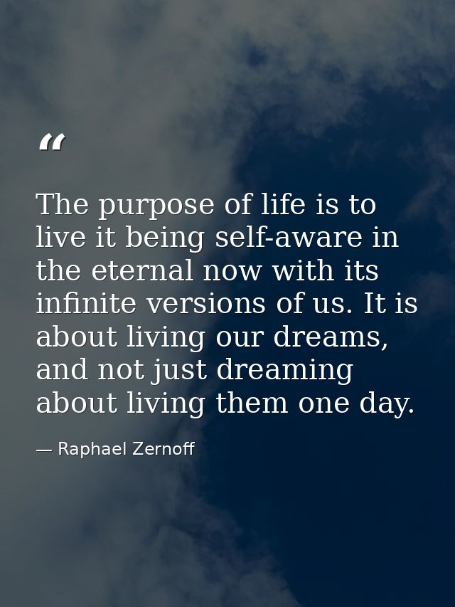 The purpose of life is to live it being self-aware in the eternal now with its infinite versions of us. It is about livi — Raphael Zernoff