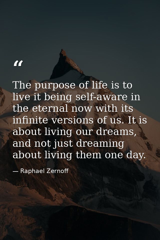 The purpose of life is to live it being self-aware in the eternal now with its infinite versions of us. It is about livi — Raphael Zernoff