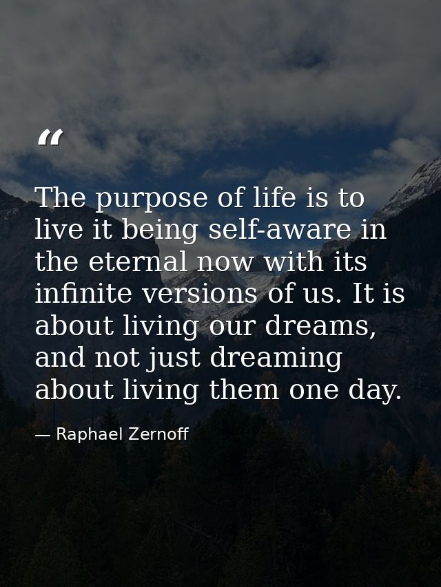 The purpose of life is to live it being self-aware in the eternal now with its infinite versions of us. It is about livi — Raphael Zernoff