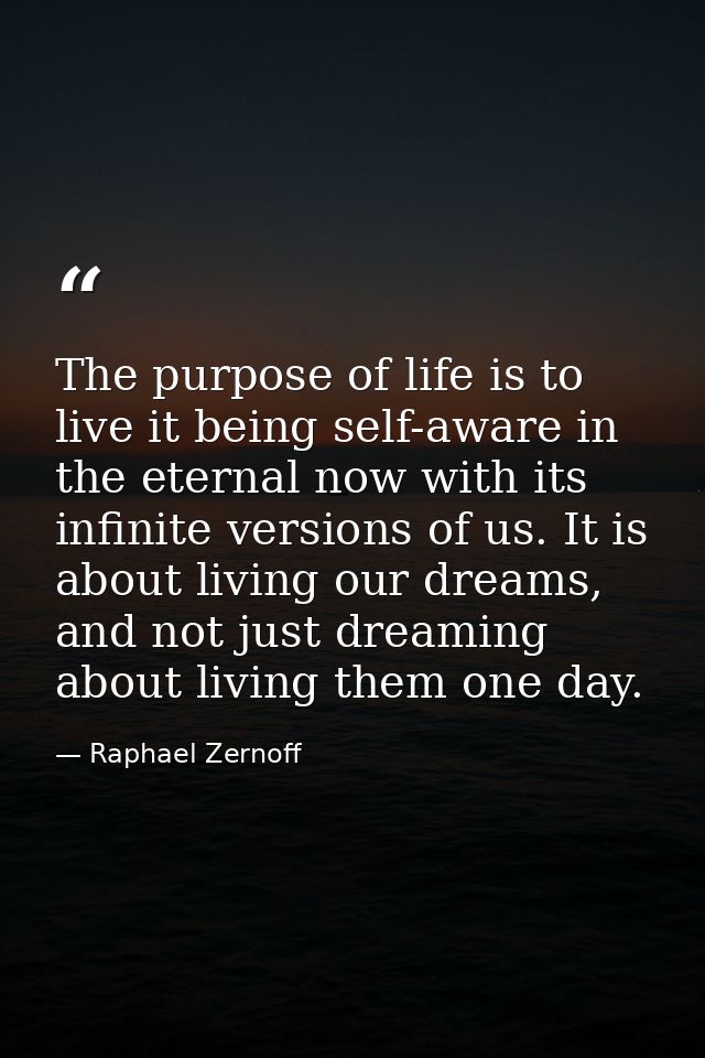 The purpose of life is to live it being self-aware in the eternal now with its infinite versions of us. It is about livi — Raphael Zernoff