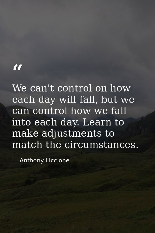 We can't control on how each day will fall, but we can control how we fall into each day. Learn to make adjustments to m — Anthony Liccione