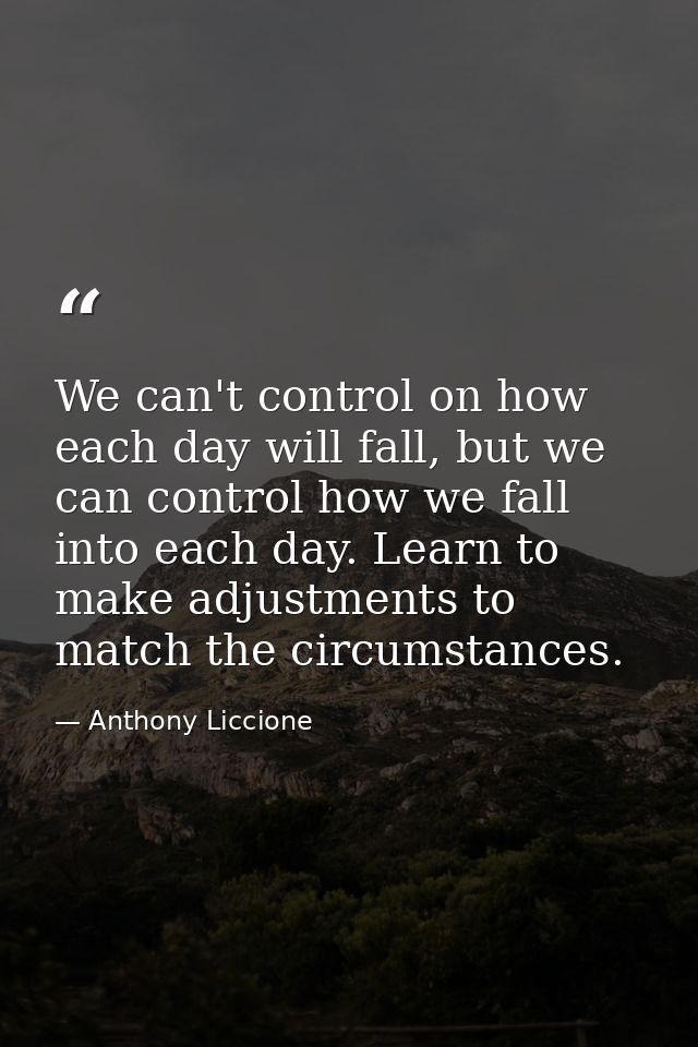 We can't control on how each day will fall, but we can control how we fall into each day. Learn to make adjustments to m — Anthony Liccione