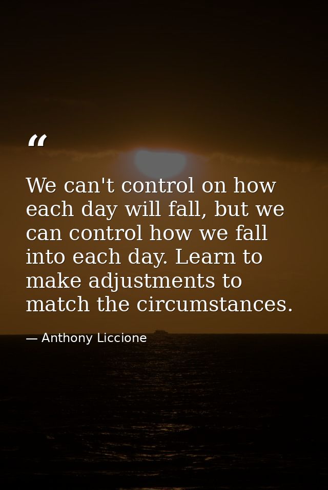 We can't control on how each day will fall, but we can control how we fall into each day. Learn to make adjustments to m — Anthony Liccione