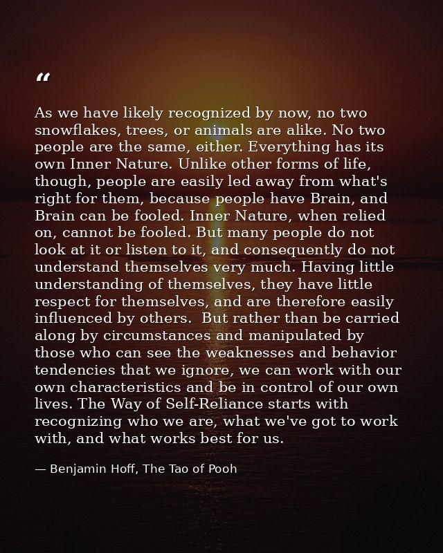As we have likely recognized by now, no two snowflakes, trees, or animals are alike. No two people are the same, either. — Benjamin Hoff, The Tao of Pooh