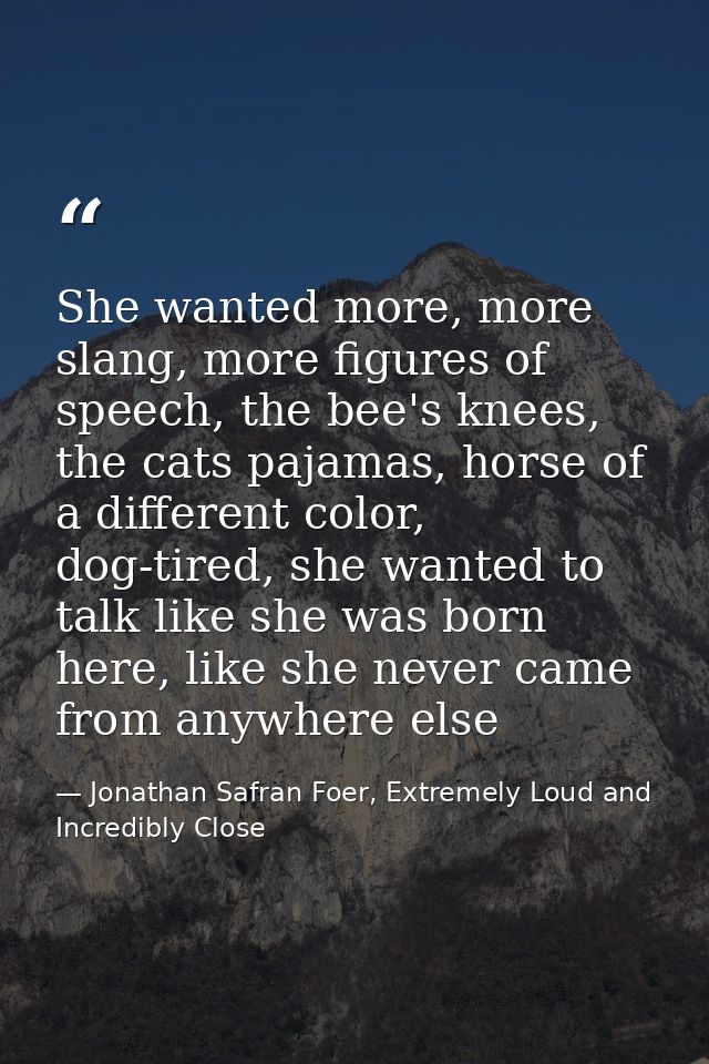 She wanted more, more slang, more figures of speech, the bee's knees, the cats pajamas, horse of a different color, dog- — Jonathan Safran Foer, Extremely Loud and Incredibly Close