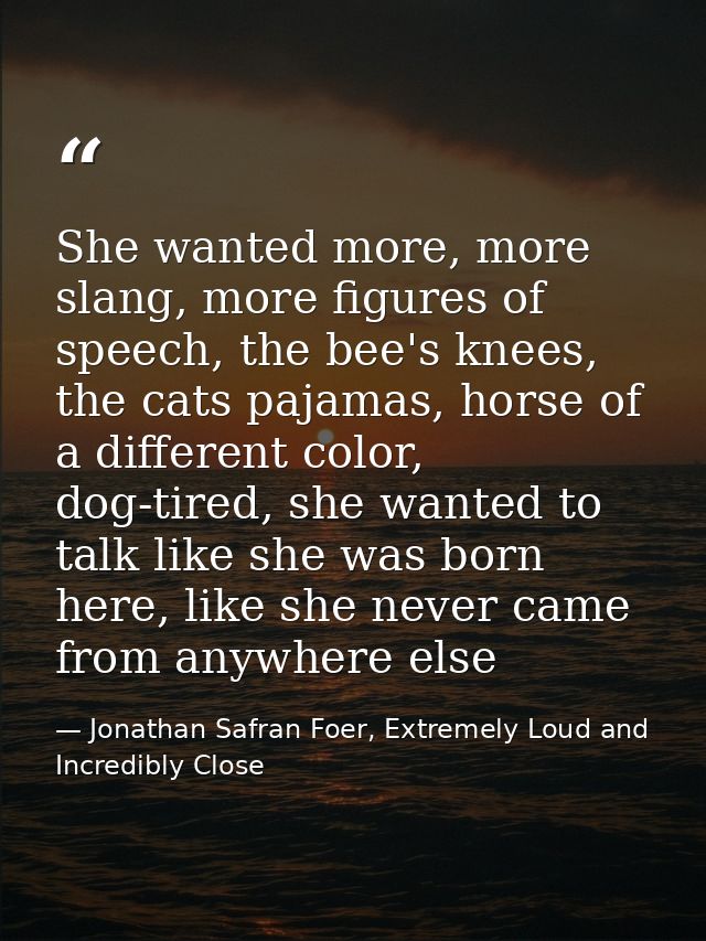 She wanted more, more slang, more figures of speech, the bee's knees, the cats pajamas, horse of a different color, dog- — Jonathan Safran Foer, Extremely Loud and Incredibly Close