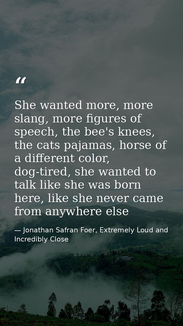 She wanted more, more slang, more figures of speech, the bee's knees, the cats pajamas, horse of a different color, dog- — Jonathan Safran Foer, Extremely Loud and Incredibly Close