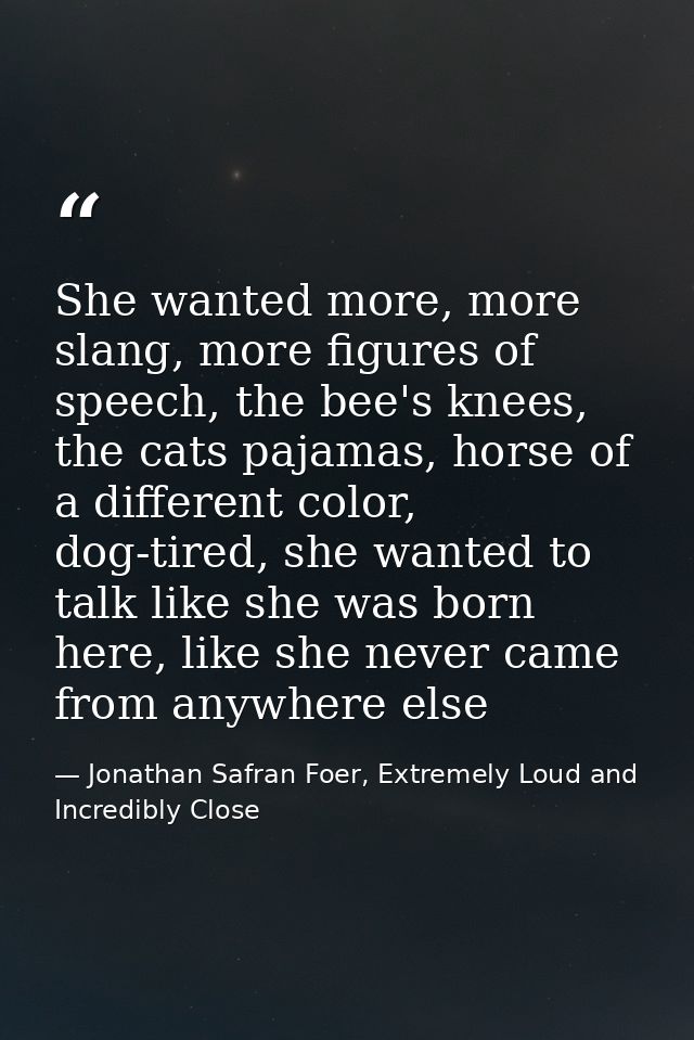 She wanted more, more slang, more figures of speech, the bee's knees, the cats pajamas, horse of a different color, dog- — Jonathan Safran Foer, Extremely Loud and Incredibly Close