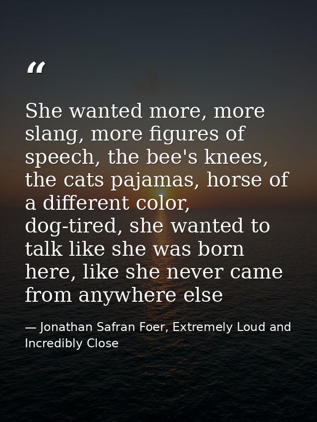 She wanted more, more slang, more figures of speech, the bee's knees, the cats pajamas, horse of a different color, dog- — Jonathan Safran Foer, Extremely Loud and Incredibly Close