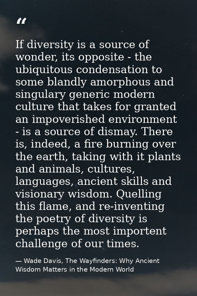 If diversity is a source of wonder, its opposite - the ubiquitous condensation to some blandly amorphous and singulary g — Wade Davis, The Wayfinders: Why Ancient Wisdom Matters in the Modern World