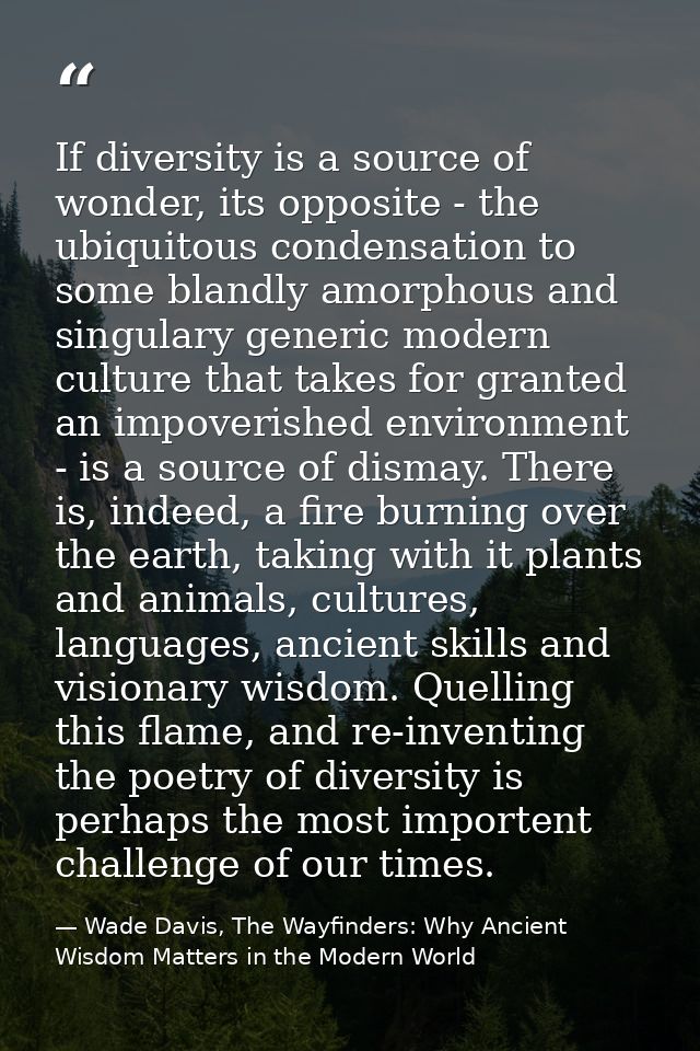 If diversity is a source of wonder, its opposite - the ubiquitous condensation to some blandly amorphous and singulary g — Wade Davis, The Wayfinders: Why Ancient Wisdom Matters in the Modern World
