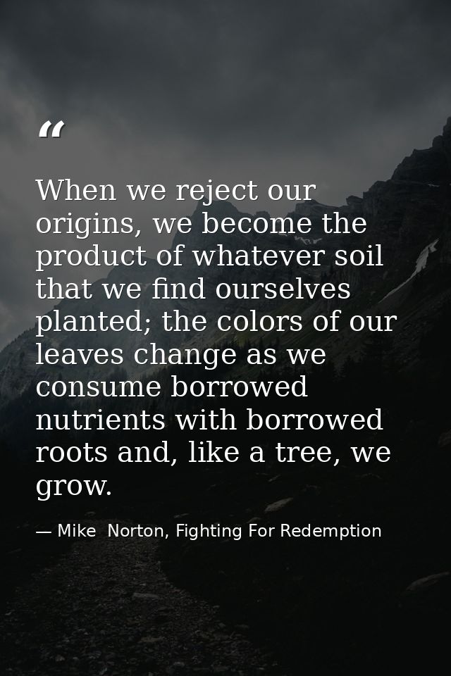 When we reject our origins, we become the product of whatever soil that we find ourselves planted; the colors of our lea — Mike  Norton, Fighting For Redemption