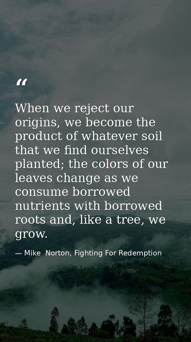 When we reject our origins, we become the product of whatever soil that we find ourselves planted; the colors of our lea — Mike  Norton, Fighting For Redemption