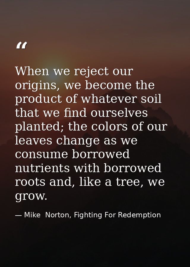 When we reject our origins, we become the product of whatever soil that we find ourselves planted; the colors of our lea — Mike  Norton, Fighting For Redemption