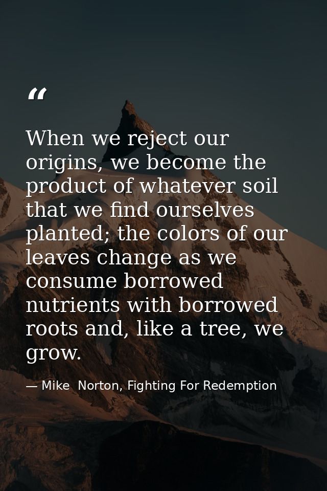 When we reject our origins, we become the product of whatever soil that we find ourselves planted; the colors of our lea — Mike  Norton, Fighting For Redemption