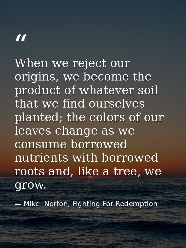 When we reject our origins, we become the product of whatever soil that we find ourselves planted; the colors of our lea — Mike  Norton, Fighting For Redemption