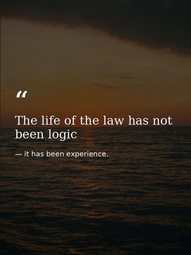 The life of the law has not been logic — it has been experience.