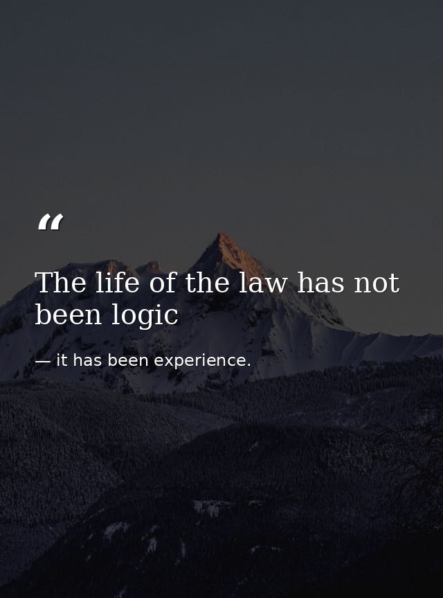 The life of the law has not been logic — it has been experience.
