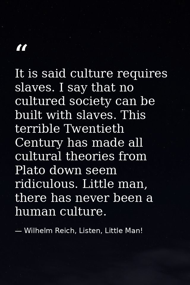 It is said culture requires slaves. I say that no cultured society can be built with slaves. This terrible Twentieth Cen — Wilhelm Reich, Listen, Little Man!