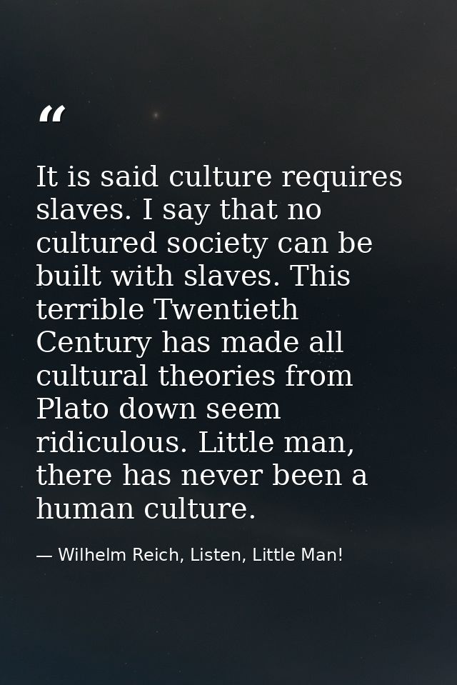 It is said culture requires slaves. I say that no cultured society can be built with slaves. This terrible Twentieth Cen — Wilhelm Reich, Listen, Little Man!