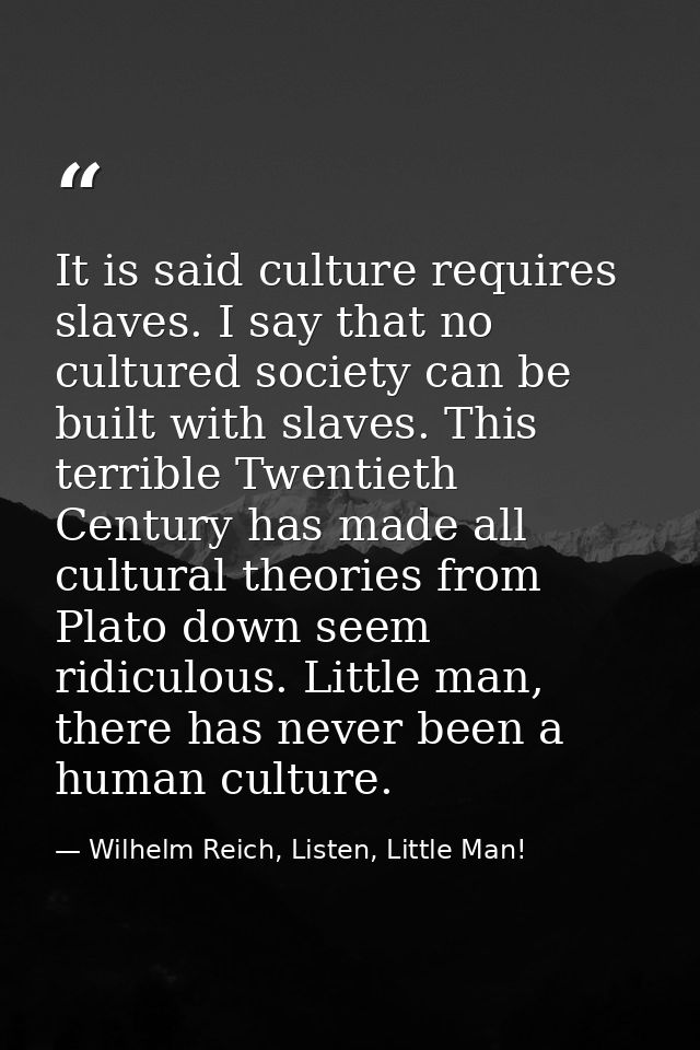 It is said culture requires slaves. I say that no cultured society can be built with slaves. This terrible Twentieth Cen — Wilhelm Reich, Listen, Little Man!