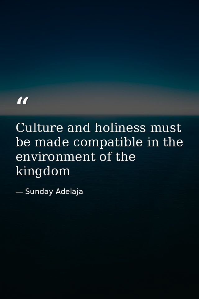 Culture and holiness must be made compatible in the environment of the kingdom — Sunday Adelaja