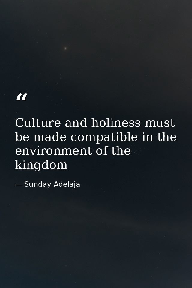 Culture and holiness must be made compatible in the environment of the kingdom — Sunday Adelaja