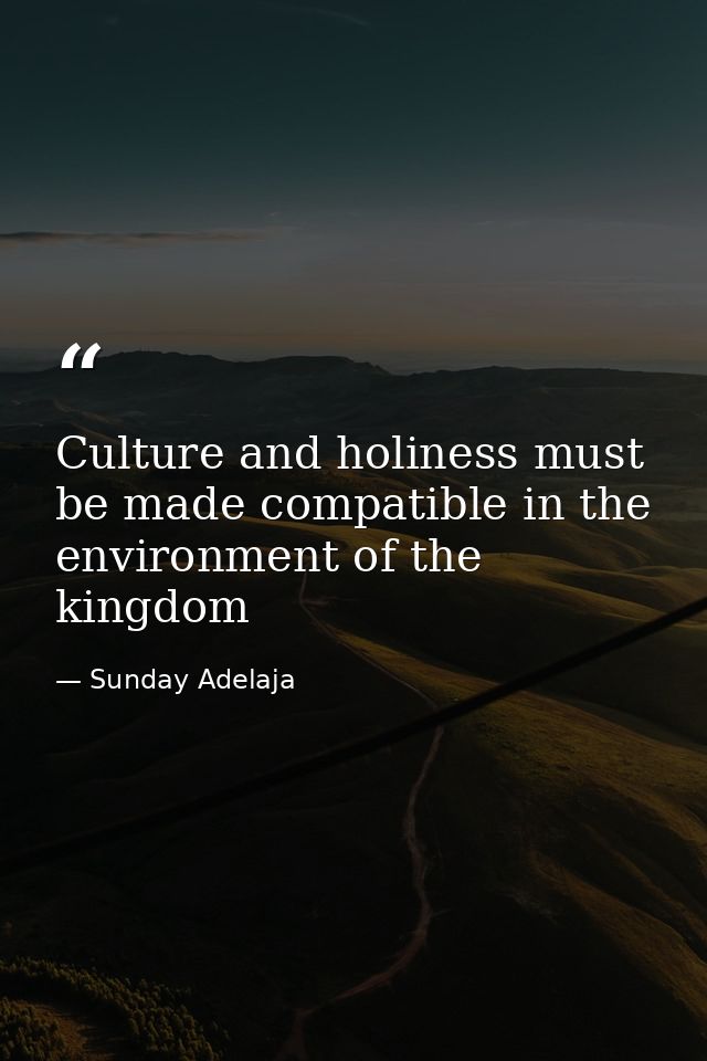Culture and holiness must be made compatible in the environment of the kingdom — Sunday Adelaja