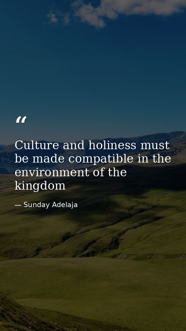 Culture and holiness must be made compatible in the environment of the kingdom — Sunday Adelaja