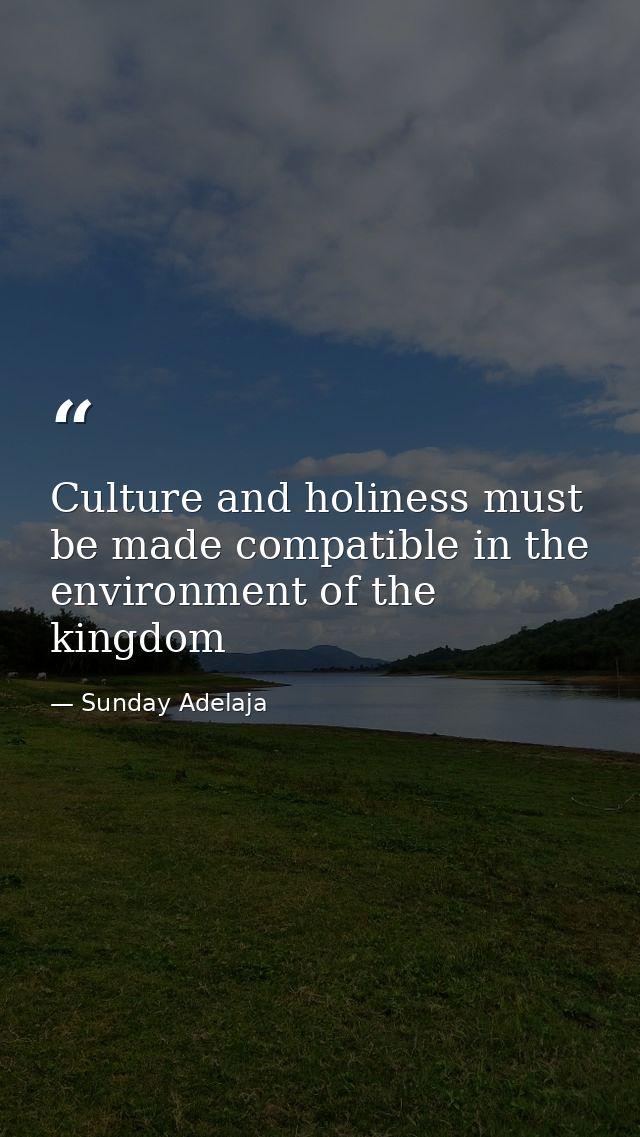 Culture and holiness must be made compatible in the environment of the kingdom — Sunday Adelaja