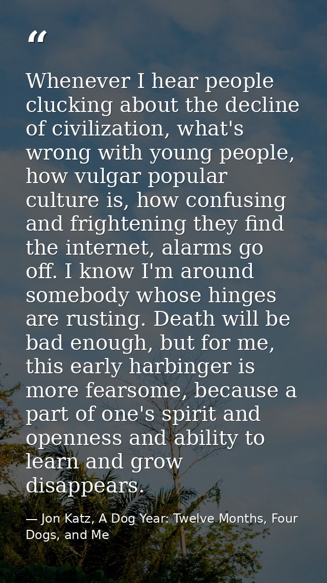 Whenever I hear people clucking about the decline of civilization, what's wrong with young people, how vulgar popular cu — Jon Katz, A Dog Year: Twelve Months, Four Dogs, and Me